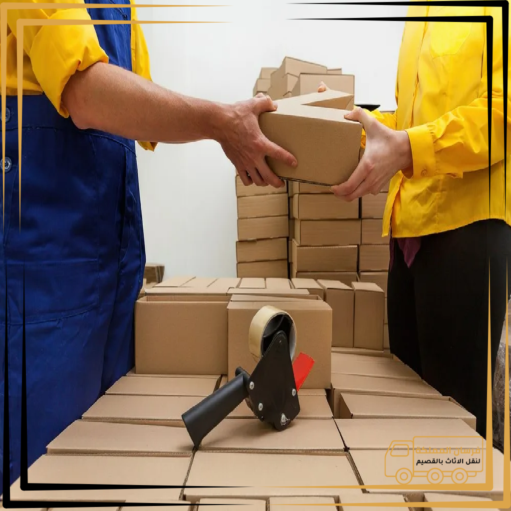 تصميم بدون عنوان 2 15.webp